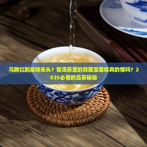 普洱茶中的马蹄红