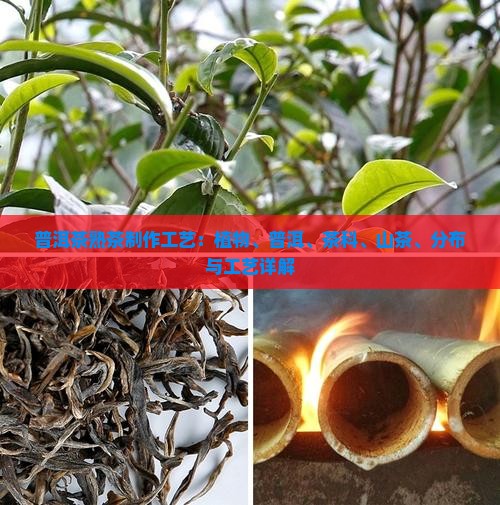 普洱茶熟茶生产工艺