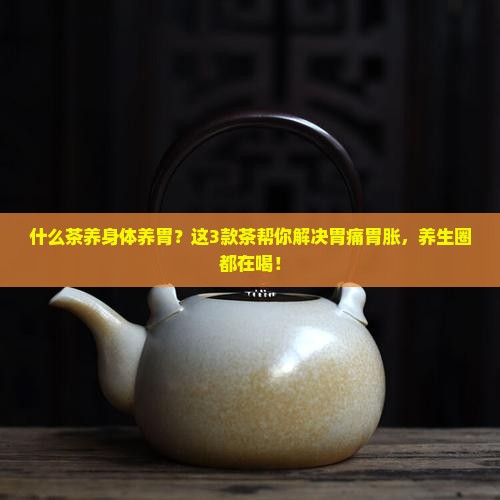 什么茶养身体养胃