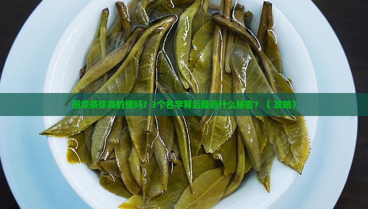 普洱茶班章取名