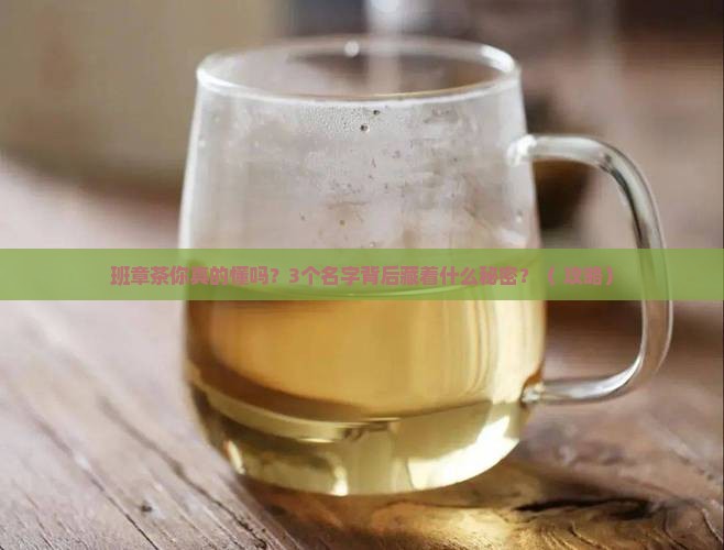 普洱茶班章取名