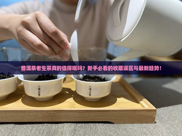 普洱茶老生茶的特点