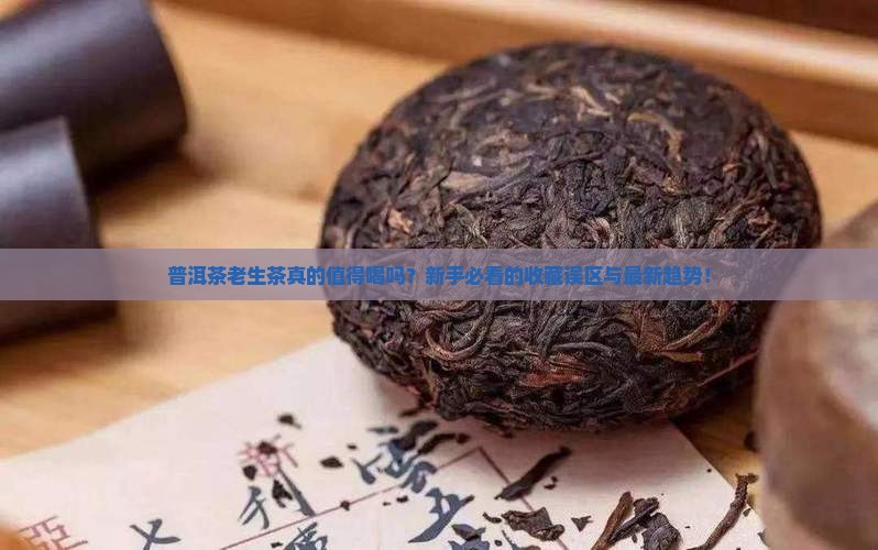 普洱茶老生茶的特点