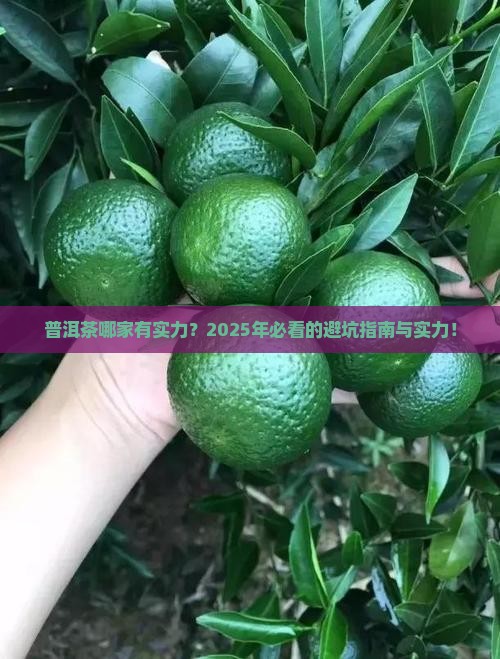 普洱茶哪家有实力