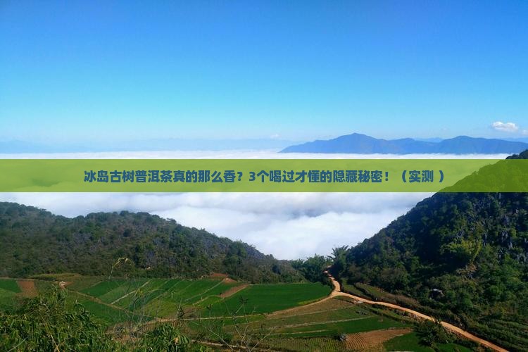 冰岛古树普洱茶口感的特点