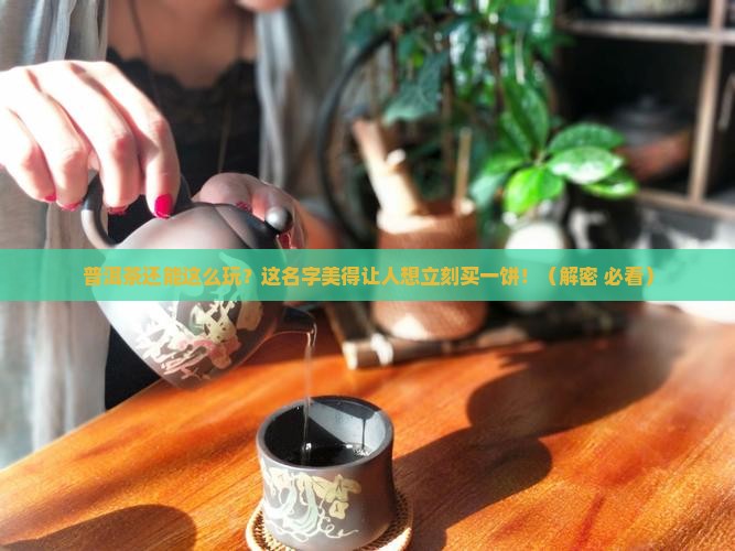 普洱茶取个有意境的名字