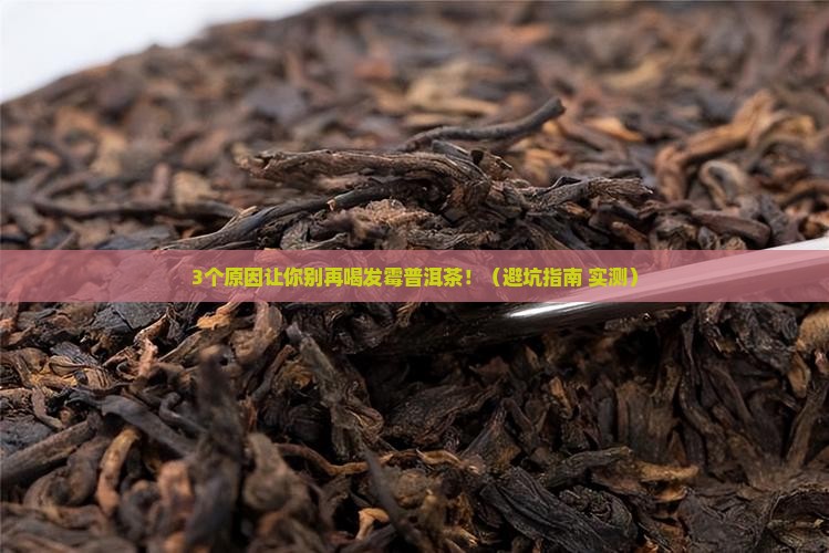 普洱茶发霉受潮能喝吗