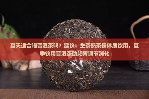 夏天适合喝普洱茶么