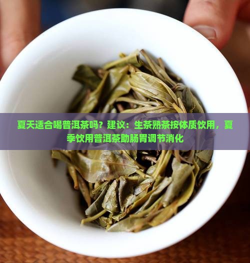夏天适合喝普洱茶么