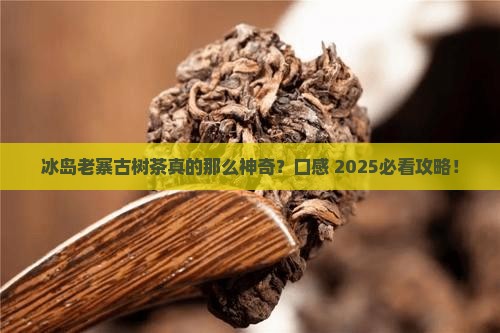 冰岛老寨古树茶口感特点介绍