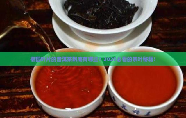 椭圆形叶片的普洱茶有哪些