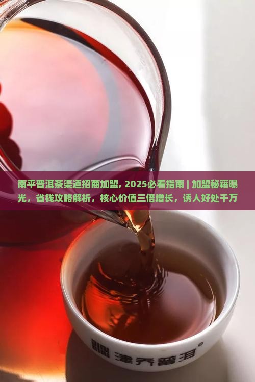 南平普洱茶渠道招商加盟