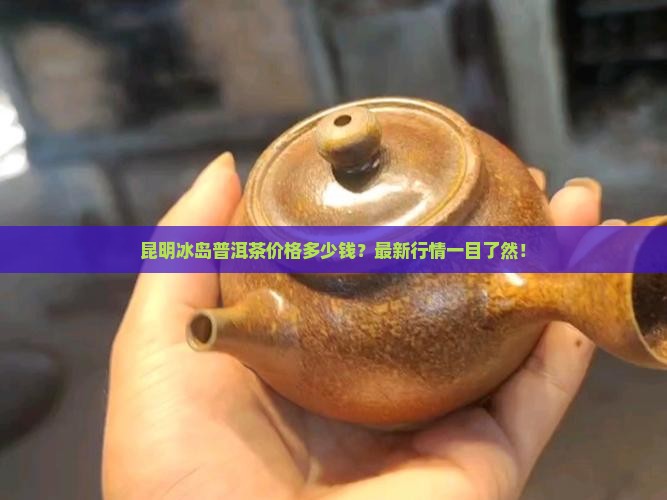 昆明冰岛普洱茶价格多少钱