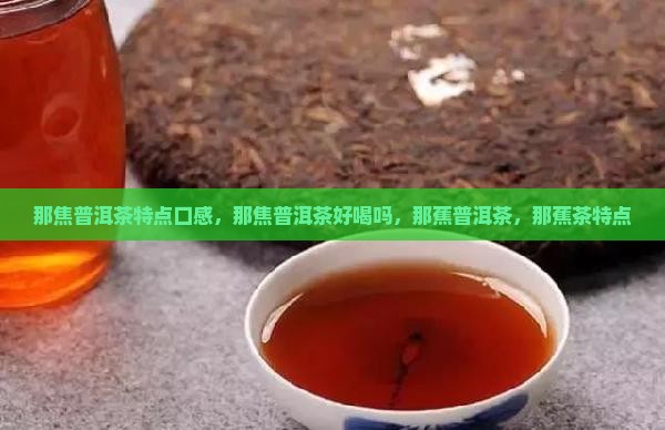 那焦普洱茶特点