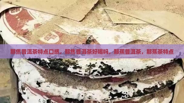那焦普洱茶特点