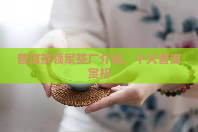 普洱茶领军茶厂品牌介绍