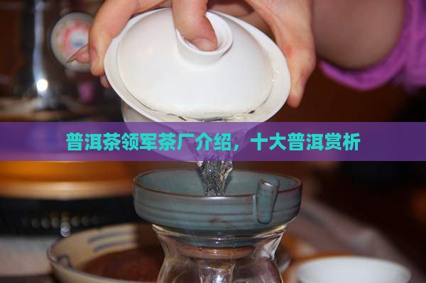 普洱茶领军茶厂品牌介绍