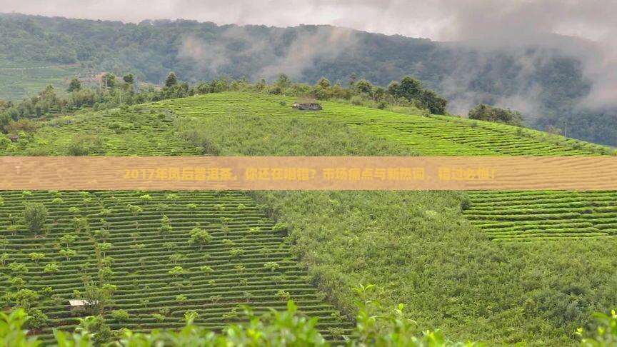 2017年凤后普洱茶