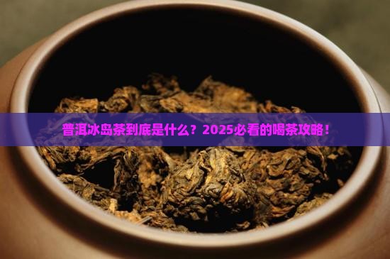 普洱冰岛茶是什么