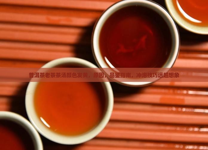 普洱茶老茶茶汤颜色发黄