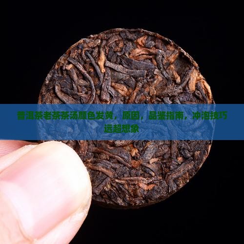 普洱茶老茶茶汤颜色发黄
