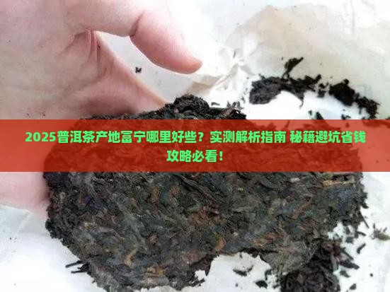 普洱茶产地富宁哪里好些