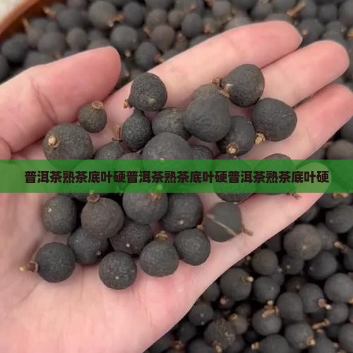 普洱茶熟茶底叶硬