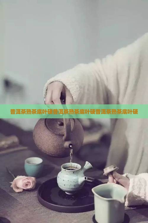 普洱茶熟茶底叶硬