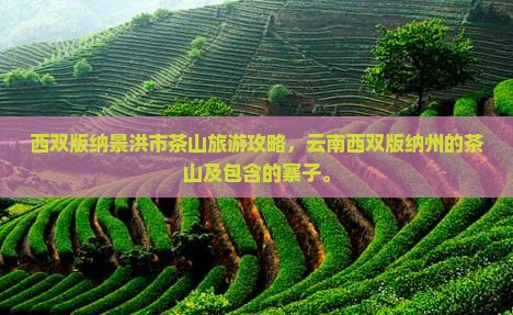 西双版纳景洪市茶山