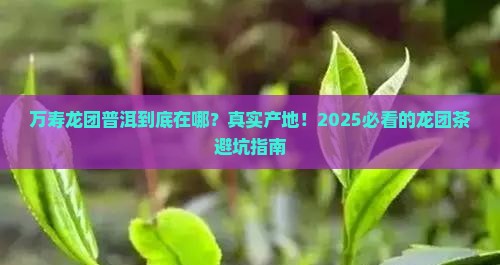 龙团茶产地万寿龙团普洱