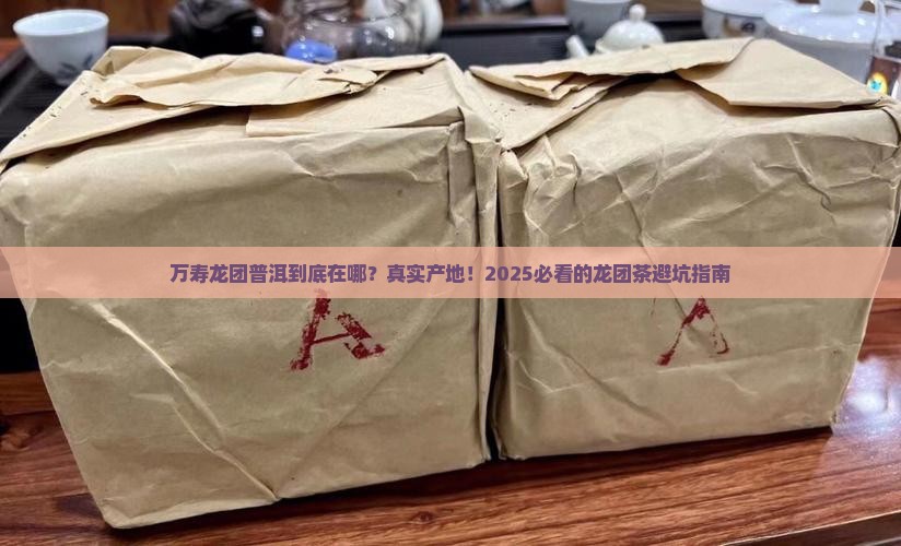 龙团茶产地万寿龙团普洱