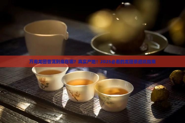 龙团茶产地万寿龙团普洱