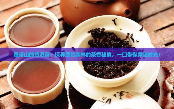 基诺山的普洱茶