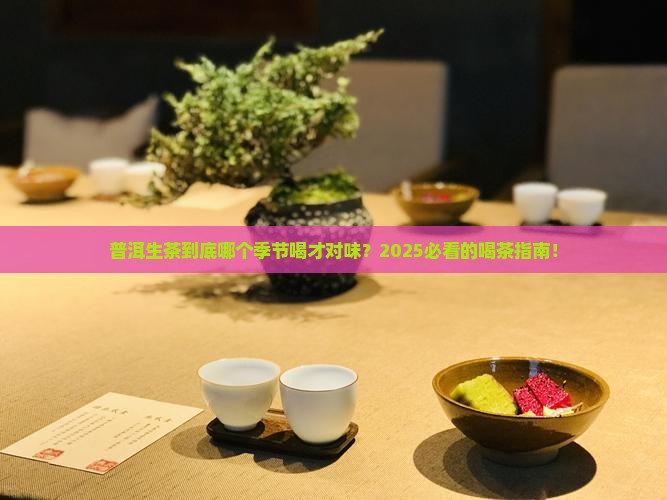普洱茶生茶适应哪个季节喝