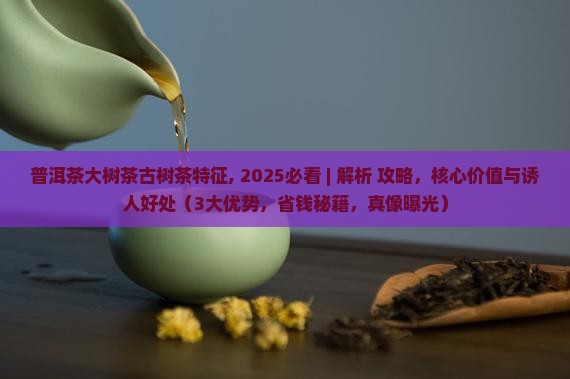 普洱茶大树茶古树茶特征