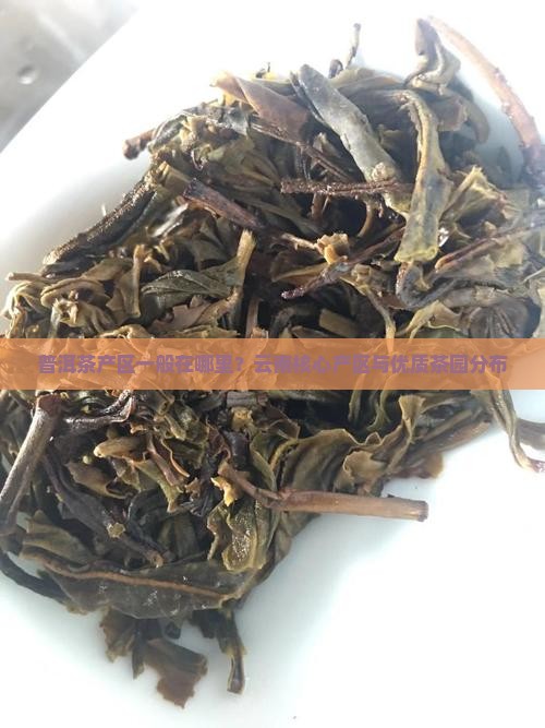 普洱茶产区一般在哪里