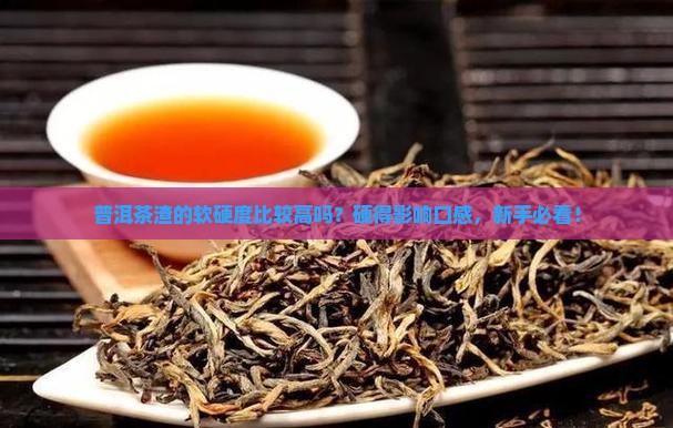 普洱茶渣的软硬度比较高吗