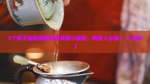 普洱茶的黄酮含量