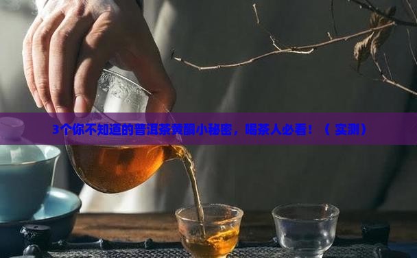普洱茶的黄酮含量