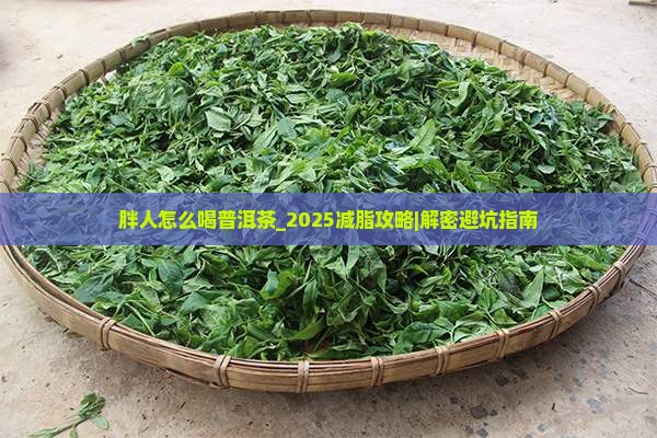 胖人怎么喝普洱茶