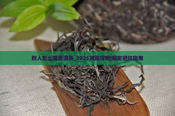 胖人怎么喝普洱茶