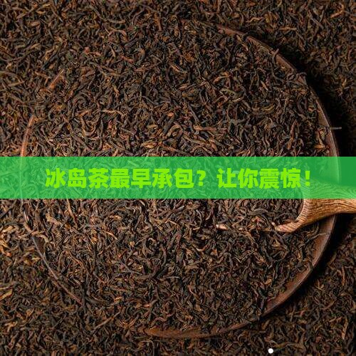 冰岛茶最早承包