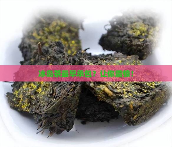 冰岛茶最早承包