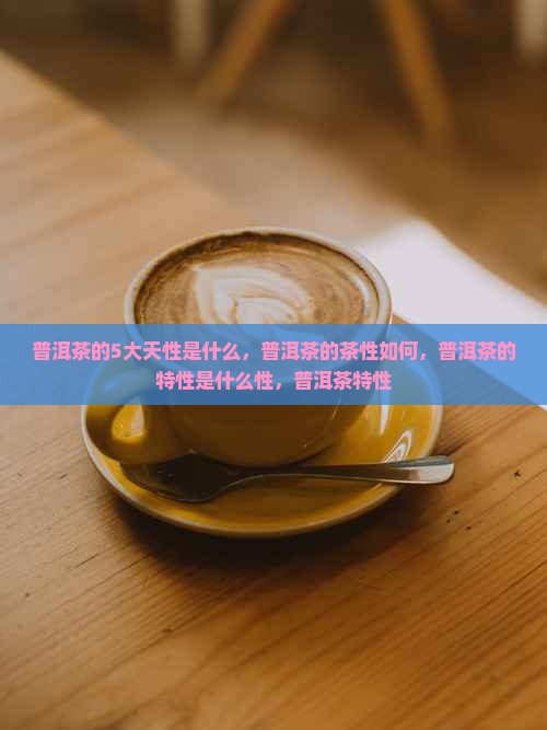 普洱茶的5大天性