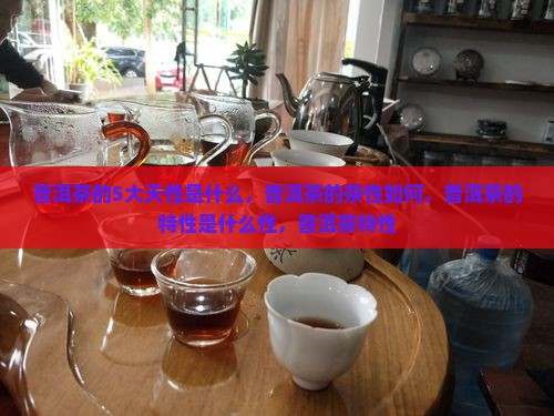 普洱茶的5大天性