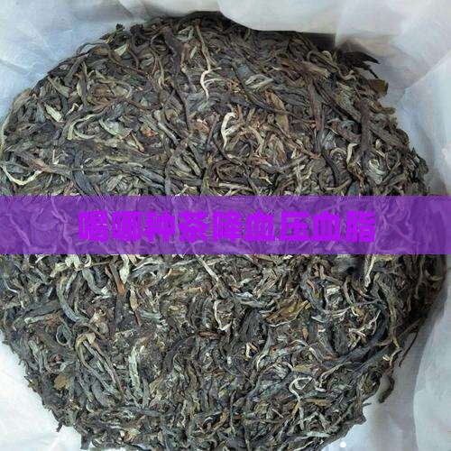 喝哪种茶降血压血脂