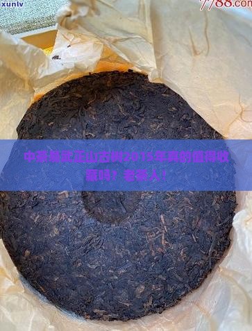 中茶易武正山古树2015年
