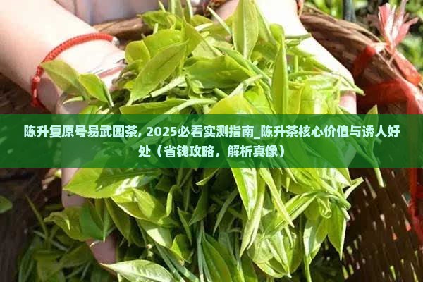 陈升复原号易武园茶