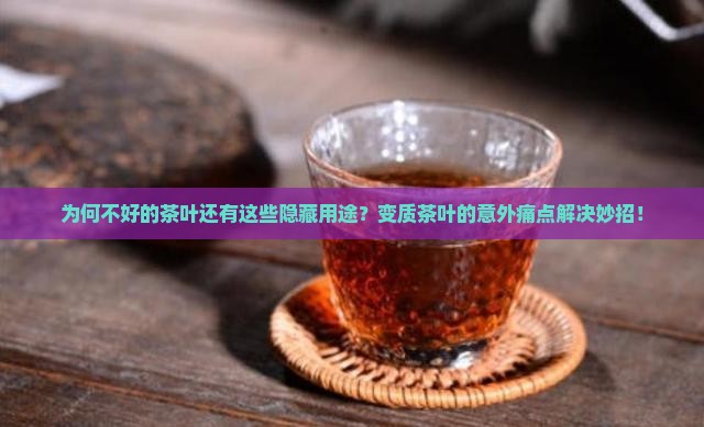 为何不好的茶叶还有这些隐藏用途？变质茶叶的意外痛点解决妙招！