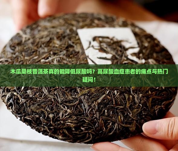 木瓜桑枝普洱茶真的能降低尿酸吗？高尿酸血症患者的痛点与热门疑问！